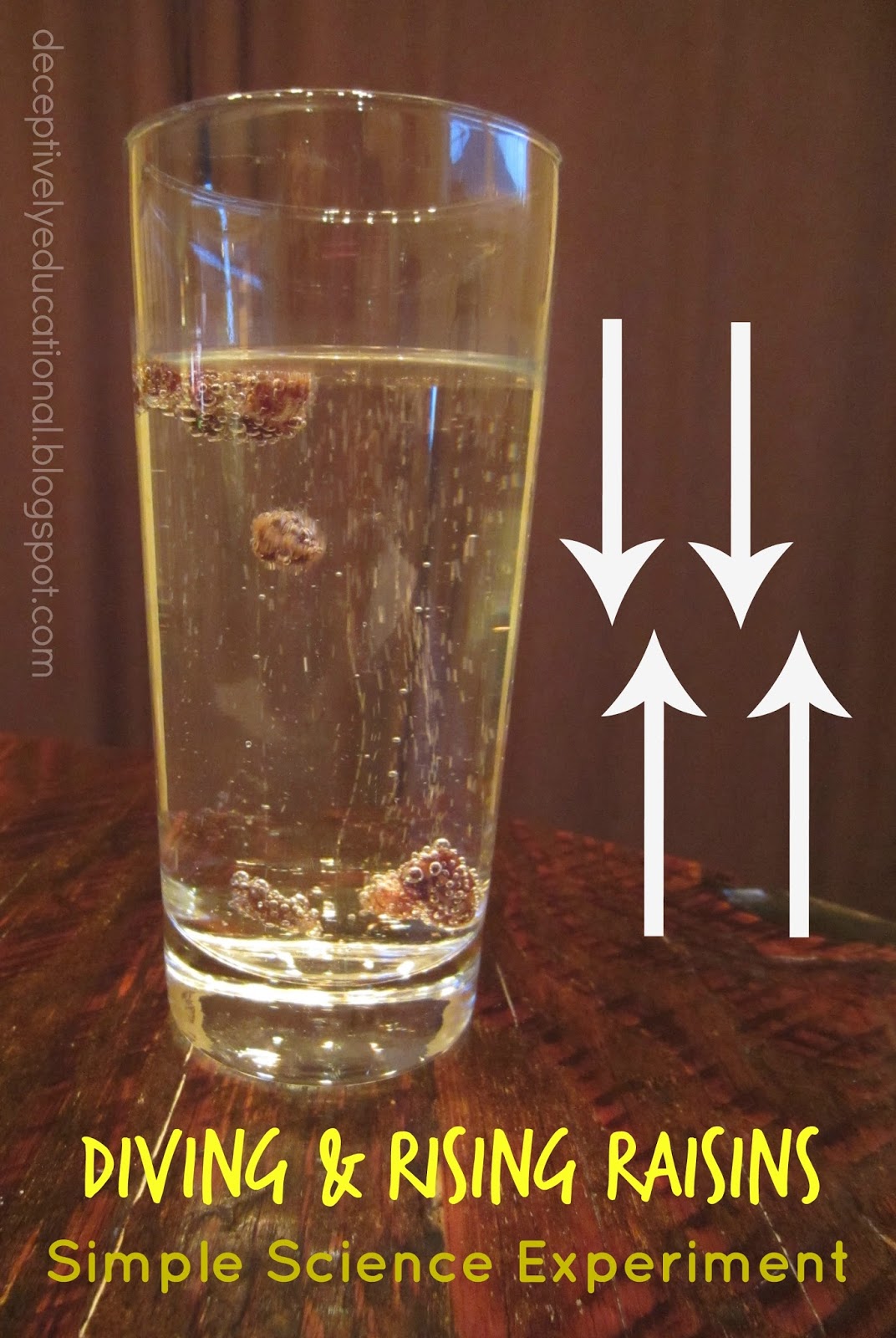 Diving & Rising Raisins (science experiment) Relentlessly Fun